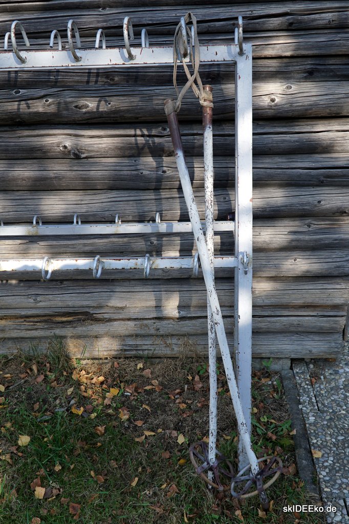 Ski-Stöcke "Birke"