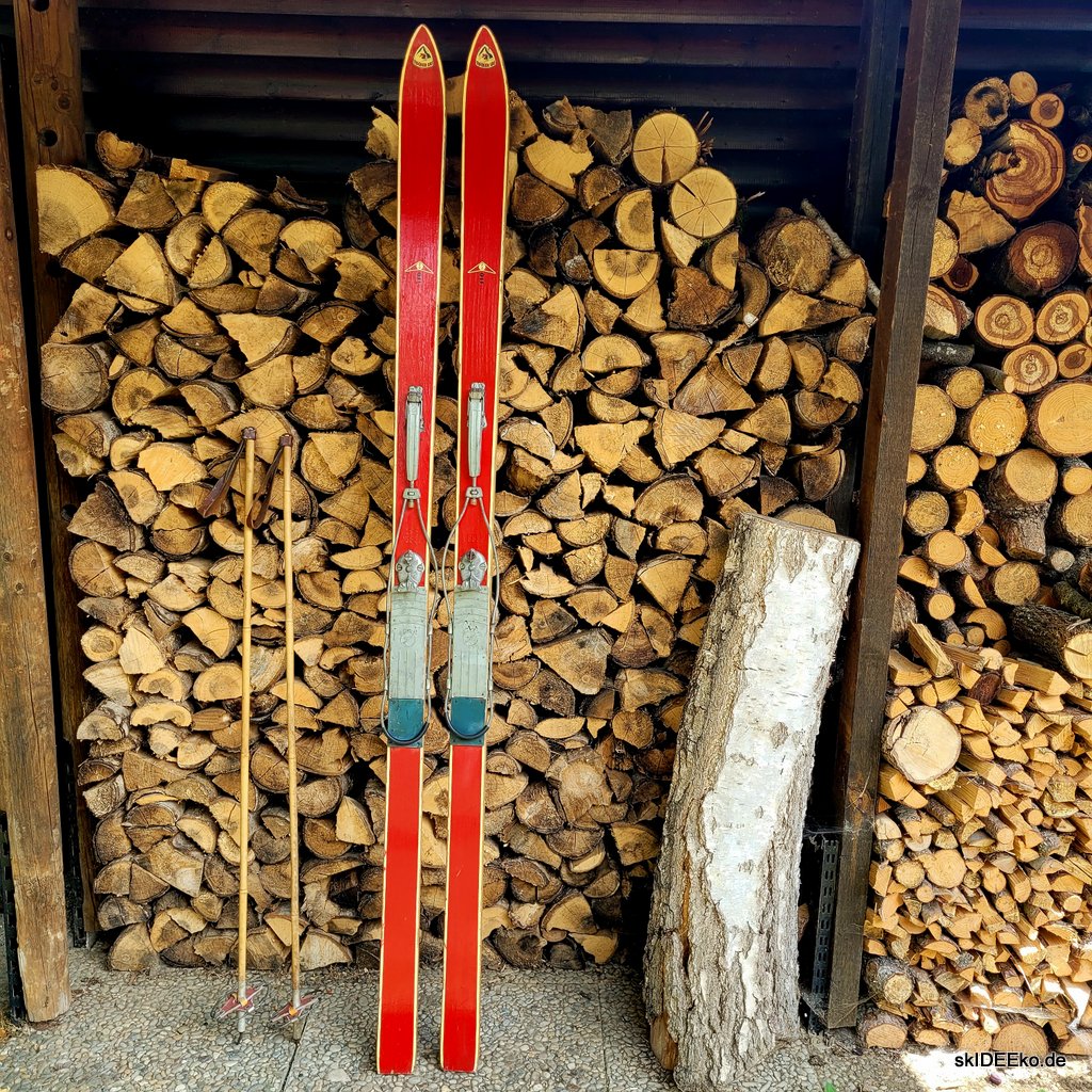 Ski MashUp - Roter Fisch – Bild 2