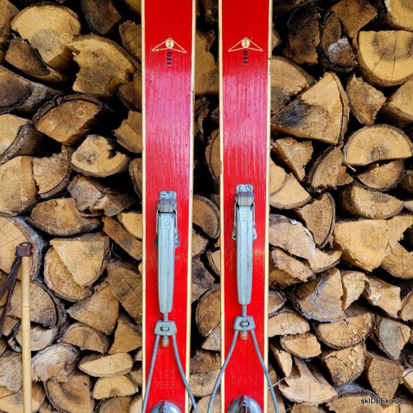 Ski MashUp - Roter Fisch – Bild 5