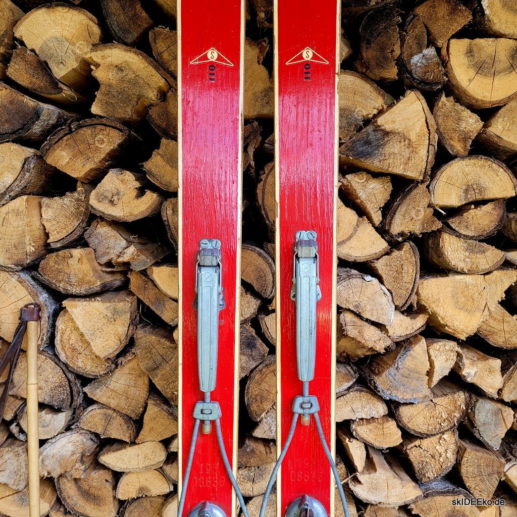 Ski MashUp - Roter Fisch – Bild 5