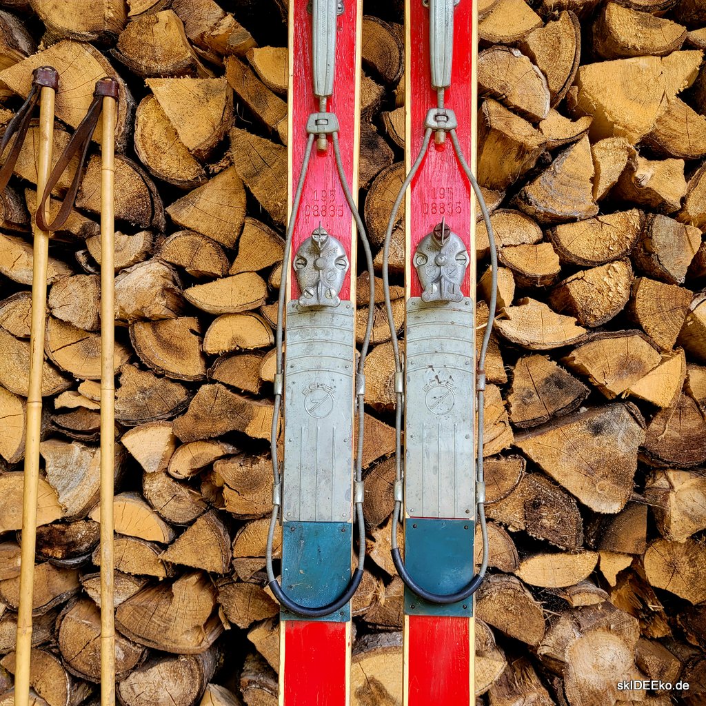 Ski MashUp - Roter Fisch – Bild 4