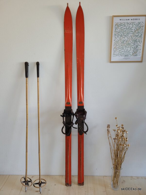 Ski MashUp 18