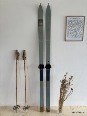 Ski MashUp 37
